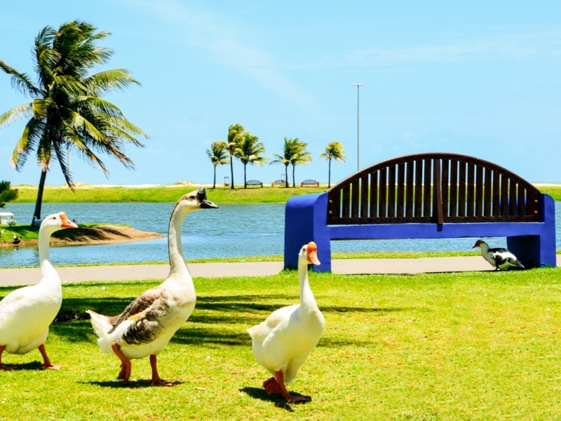 Foto: Arthur Leite
