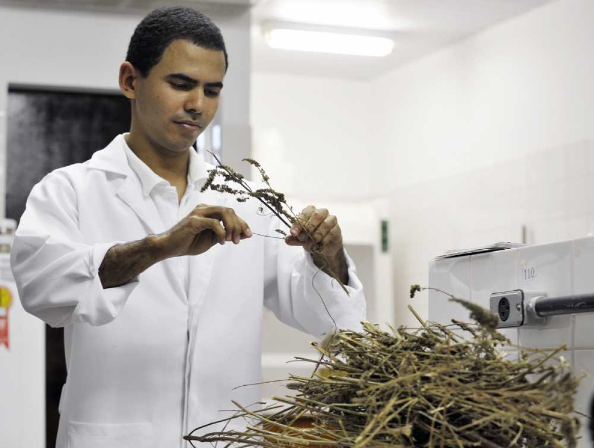 Conforme dados da Coordenação de Aperfeiçoamento de Pessoal de Nível Superior (Capes) em 2005 Sergipe tinha 102 mestres formados e 247 matriculados nas instituições de ensino e um doutor formado e 33 matriculados. Em 2015 os registros apontaram 3.22