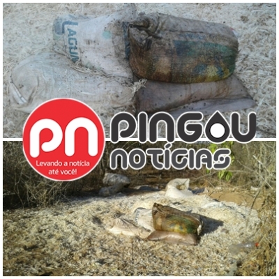 Crime Ambiental: Restos de animais são jogados às margens de rodovia no Sertão (Imagem: Pingou Notícias) Crime Ambiental: Restos de animais são jogados às margens de rodovia no Sertão (Imagem: Pingou Notícias)
