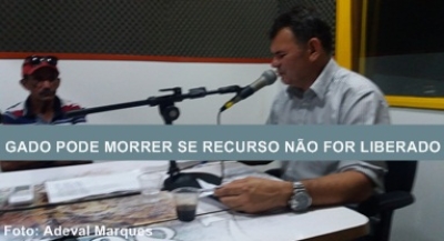 Ex-prefeito Roberto Araújo faz apelo: "Pelo amor de Deus, liberem os recursos ou o gado do sertanejo vai morrer!" (Imagem: Adeval Marques/Propriá News)