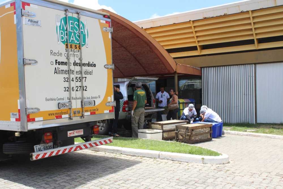 Mesa Brasil Sesc recebe doação de 100 quilos de peixes do Ibama (Imagem: Assessoria Fecomércio/SE)