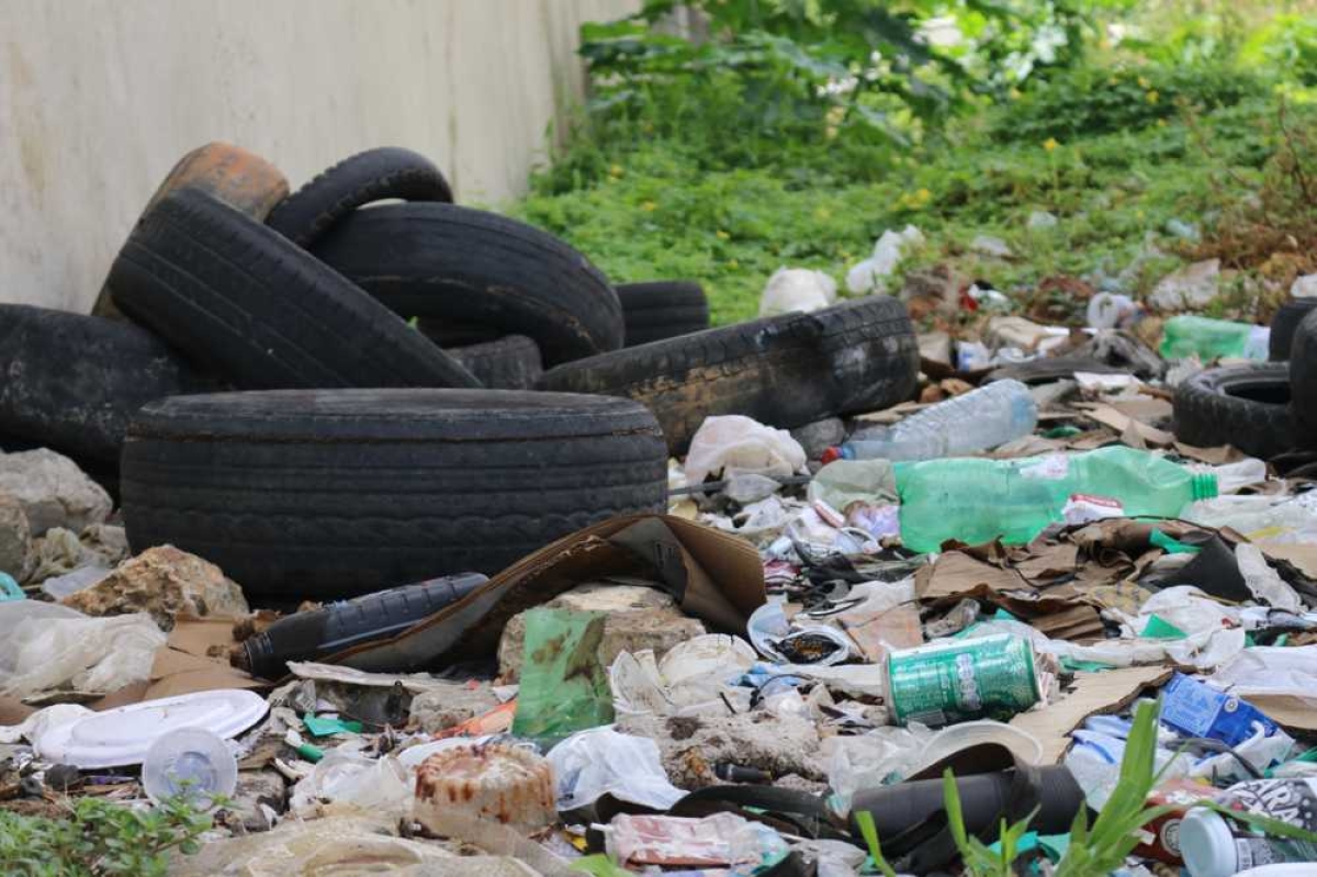 Pneus e recipientes que acumulam água são prato cheio para o Aedes (Foto: Arquivo SES/FHS/SE) Pneus e recipientes que acumulam água são prato cheio para o Aedes (Foto: Arquivo SES/FHS/SE)