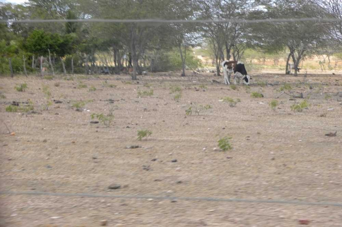 Reconhecida situação de emergência em municípios de cinco estados brasileiros (Foto: Arquivo/Portal Infonet)