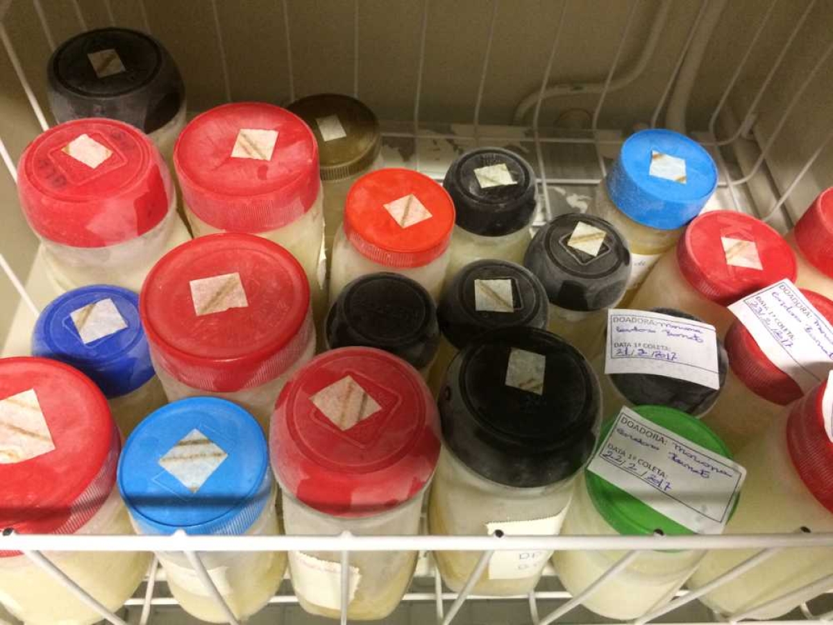 Doação de leite humano traz benefícios para doadoras e receptoras (Foto: SES/SE) Doação de leite humano traz benefícios para doadoras e receptoras (Foto: SES/SE)