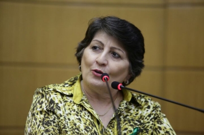 Deputada Maria Mendonça (Foto: Assessoria Maria Mendonça)