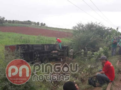 Motorista perde a direção de veículo e sofre acidente na Rota do Sertão (Foto: Pingou Notícias)