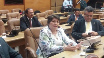 Deputada Maria Mendonça (Foto: Assessoria Maria Mendonça)