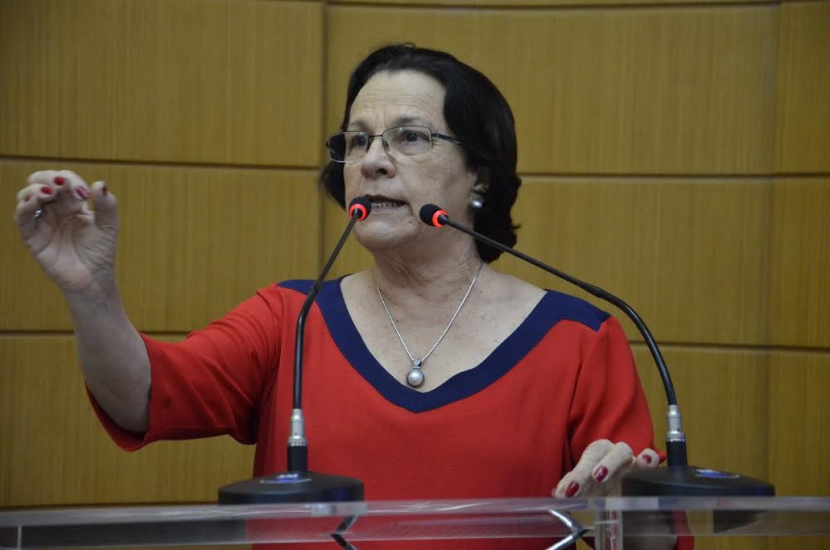 Gustinho Ribeiro lamentou prejuízos a mais de 300 mil pessoas (Foto: Jadilson Simões/Agência Alese)