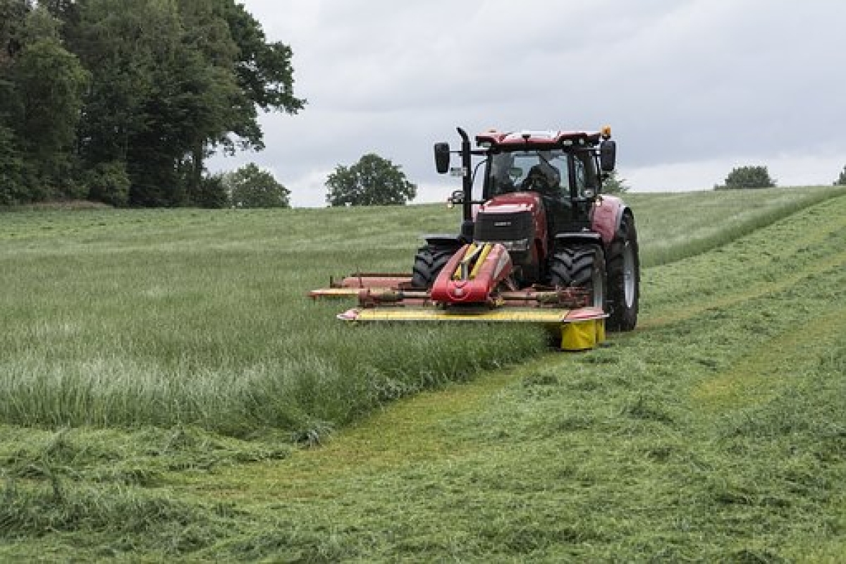 Governo fixa medidas para garantir a segurança alimentar da população (Foto ilustrativa: Pixabay)