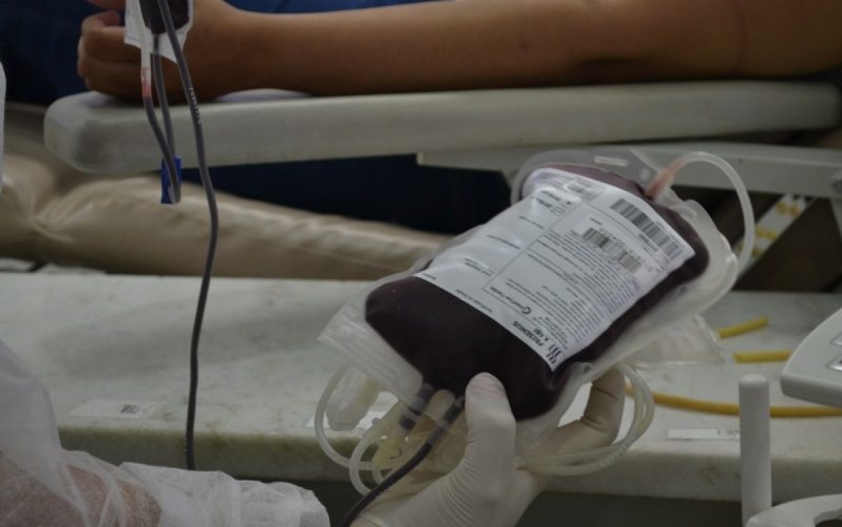 Hemose: Multiplicação de informações busca aumentar voluntários para doação de sangue (Foto: SES/SE)