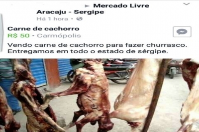  Anúncio ganhou repercussão nas redes sociais e virou caso de polícia (Foto: Ascom/Kitty Lima)