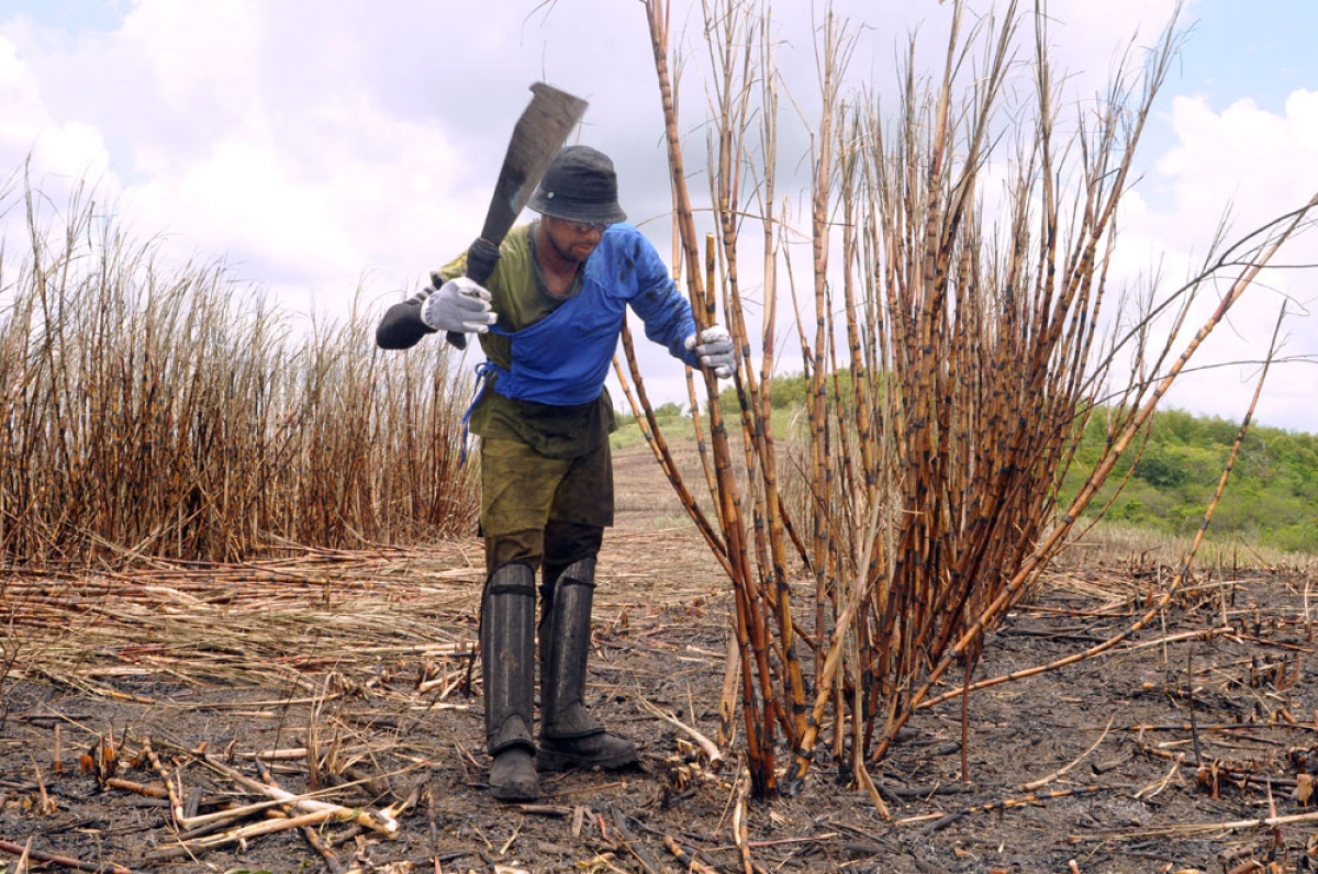 O programa já pagou mais de R$ 46 milhões em favor de mais de 61 mil trabalhadores rurais sergipanos (Foto: ASN)