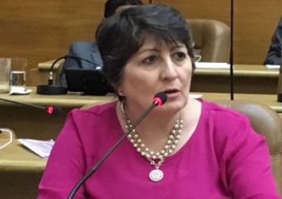 Deputada estadual Maria Mendonça (Foto: Jadilson Simões/Agência Alese)