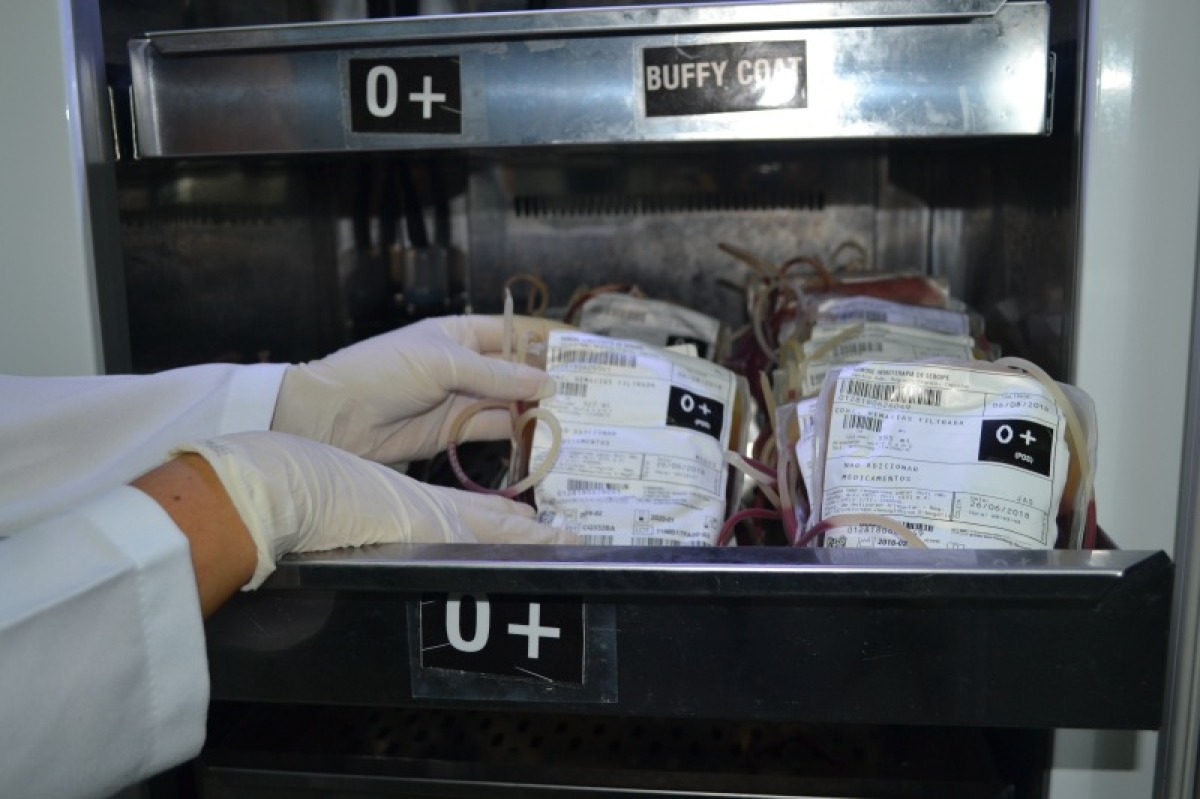 Doador regular deve acompanhar os intervalos entre cada coleta de sangue (Foto: Assessoria)