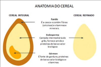 Entenda porque biscoitos com grãos integrais e fibras podem ser bons aliados no contexto de uma alimentação equilibrada (Imagem: Press à Porter Gestão de Imagem)