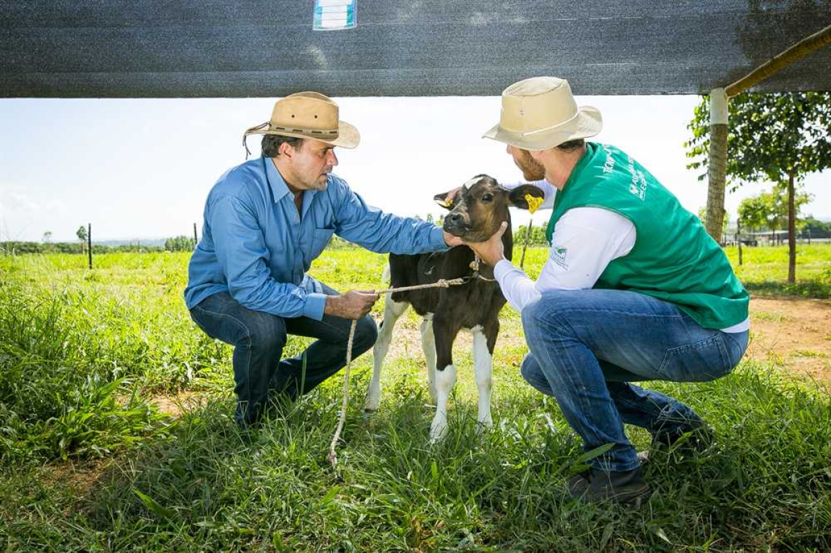 Senar/Sergipe abre cadastro reserva para técnicos de campo (Foto: CNA Brasil)