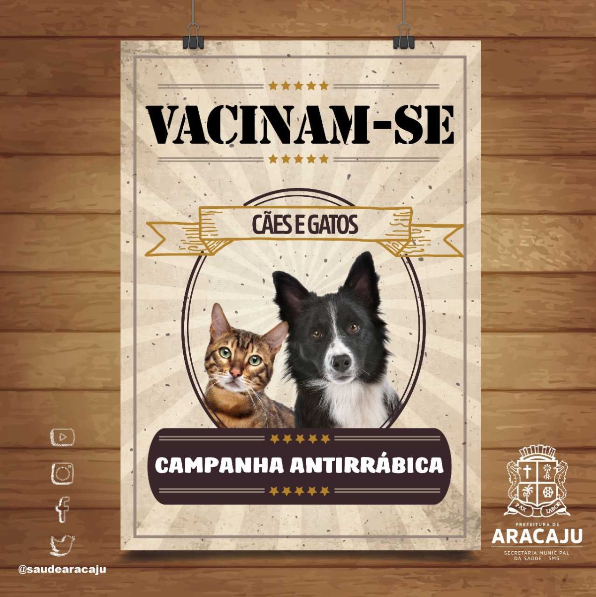 Campanha de Vacinação Antirrábica começa na próxima segunda-feira, 15/10, em Aracaju (Imagem: Divulgação/ SMS/Aracaju)