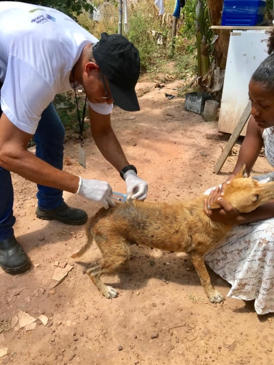 Campanha de Vacinação Antirrábica começa em Aracaju com os postos volantes (Foto: SMS/Aracaju)