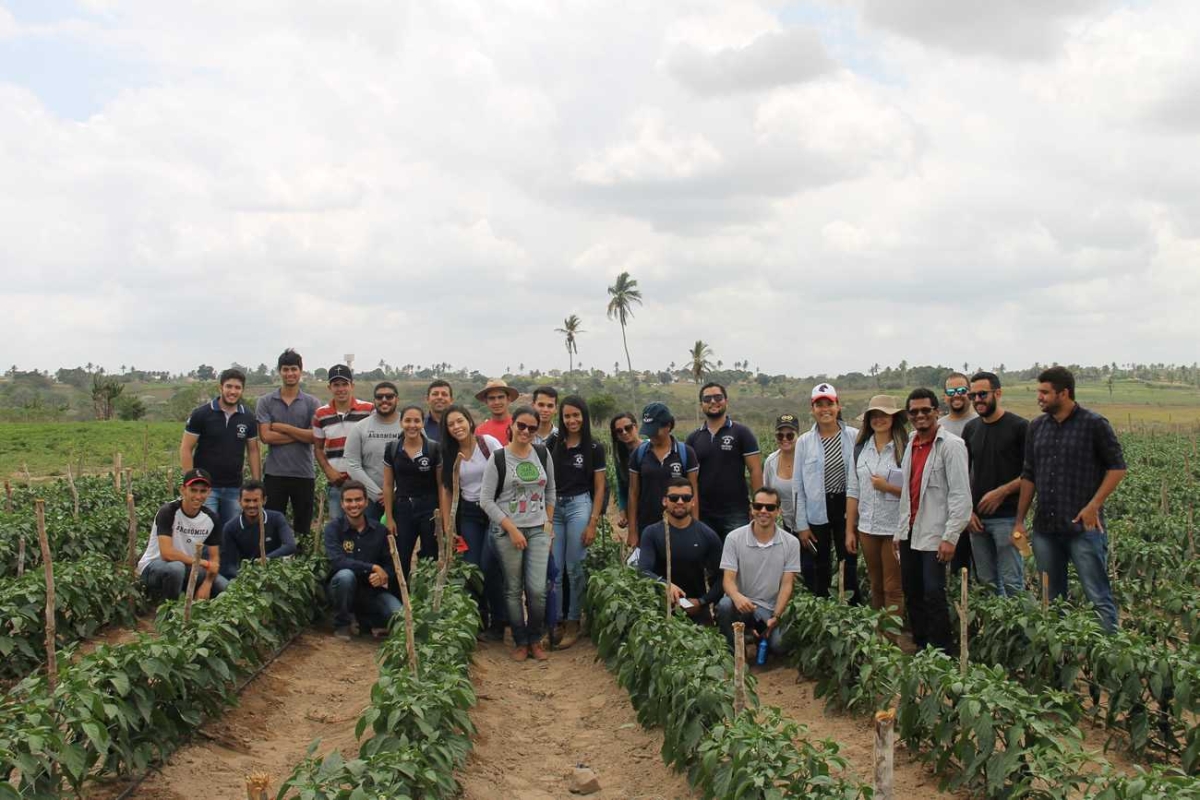 UFS Campus do Sertão descobre agricultura irrigada do perímetro da Cohidro em Lagarto (Foto: Cohidro/SE)