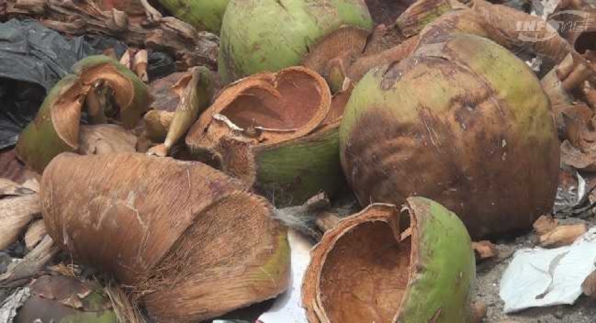 Mais de 30 municípios sergipanos estão em alerta para o Aedes aegypti (Imagem: Reprodução de vídeo/ Portal Infonet)