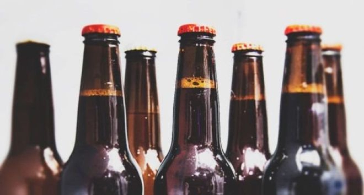 Alguns especialistas alertam que a cerveja, principalmente bebida em excesso, pode aumentar a chance de infecção pelos vírus da dengue, zika, chikungunya e malária (Foto: Universidade Texas A&M)