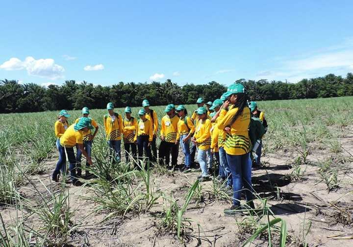 Senar Sergipe abre turmas de Aprendizagem Rural em Neópolis, Aracaju e Capela (Foto: Senar/SE)