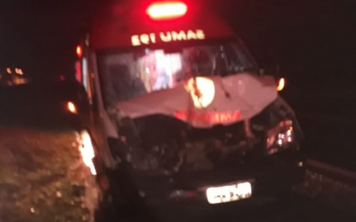 Ambulância do Samu colide em cavalos soltos na BR-235 (Foto: Via Portal Itnet)