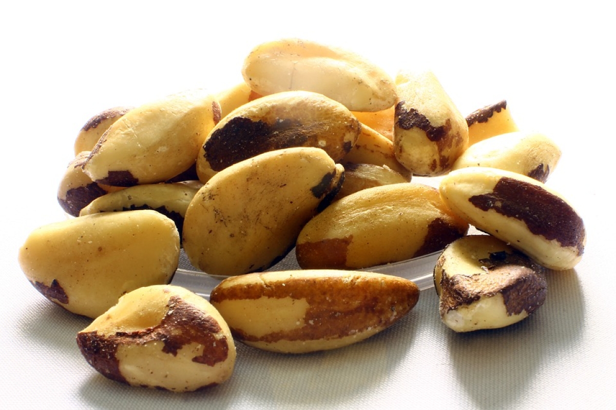 Arábia Saudita anuncia compra de frutas, castanhas e ovos do Brasil (Foto ilustrativa: Pixabay)