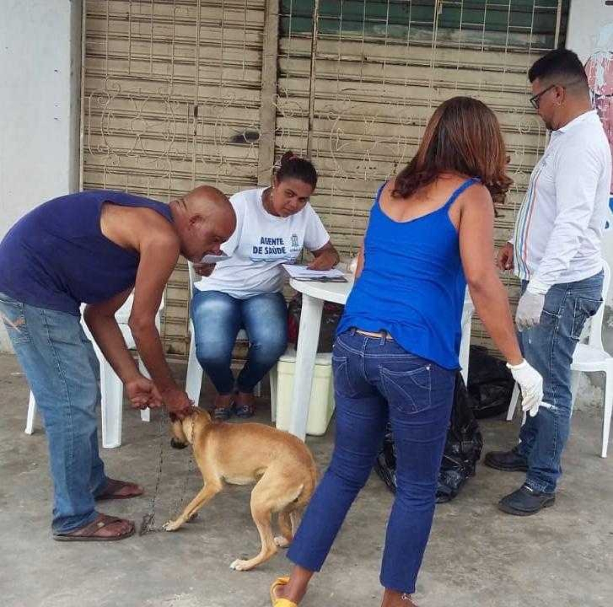Prefeitura de Aracaju inicia vacinação antirrábica em postos fixos (Foto: Prefeitura de Aracaju)
