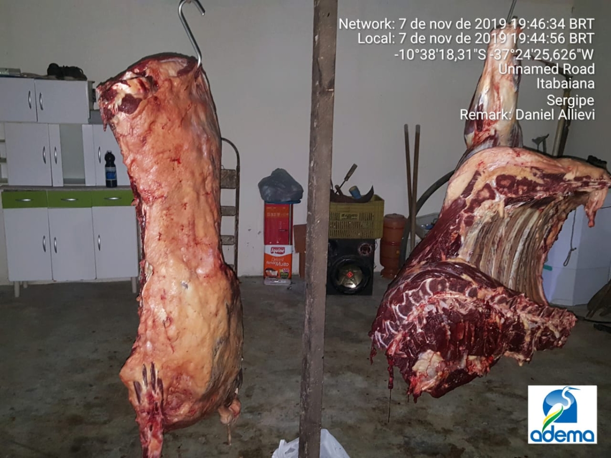 Adema notifica matadouro clandestino em povoado de Itabaiana (Foto: Adema)