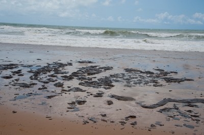 ?leo na praia de Pirambu (Foto: Agência Sergipe de Notícias)