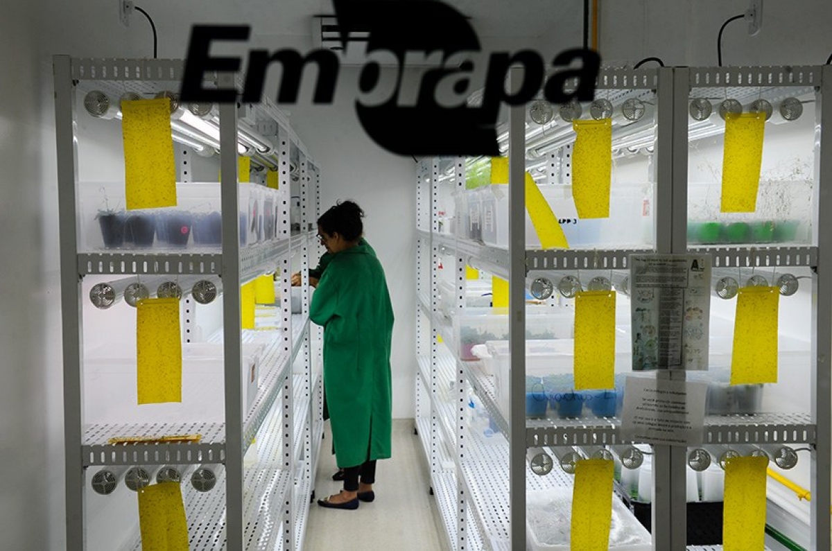Empregados de empresas públicas como a Embrapa já são contratados sob o regime da CLT (Foto: Marcos Oliveira/ Agência Senado)
