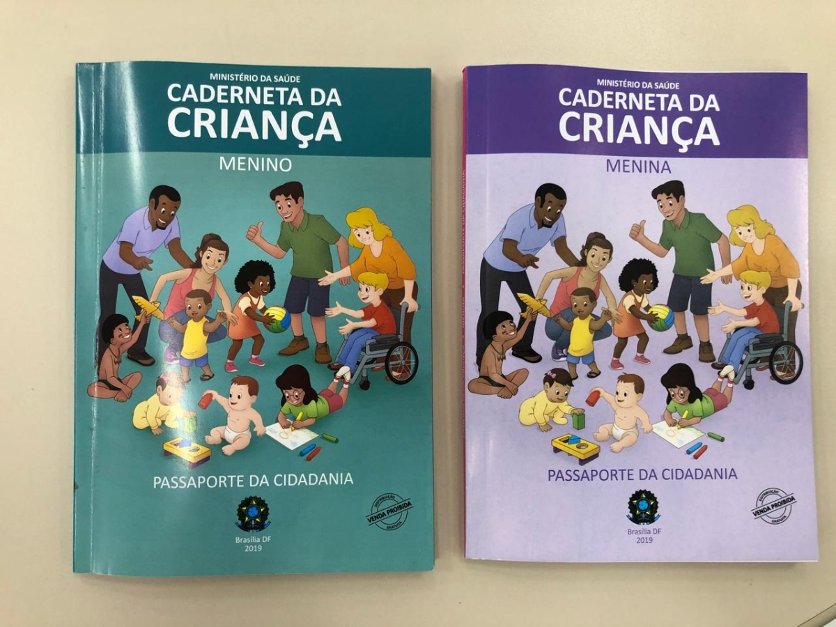 SES distribui 16 mil Cadernetas da Criança para os municípios a partir de segunda (Foto: SES/SE)