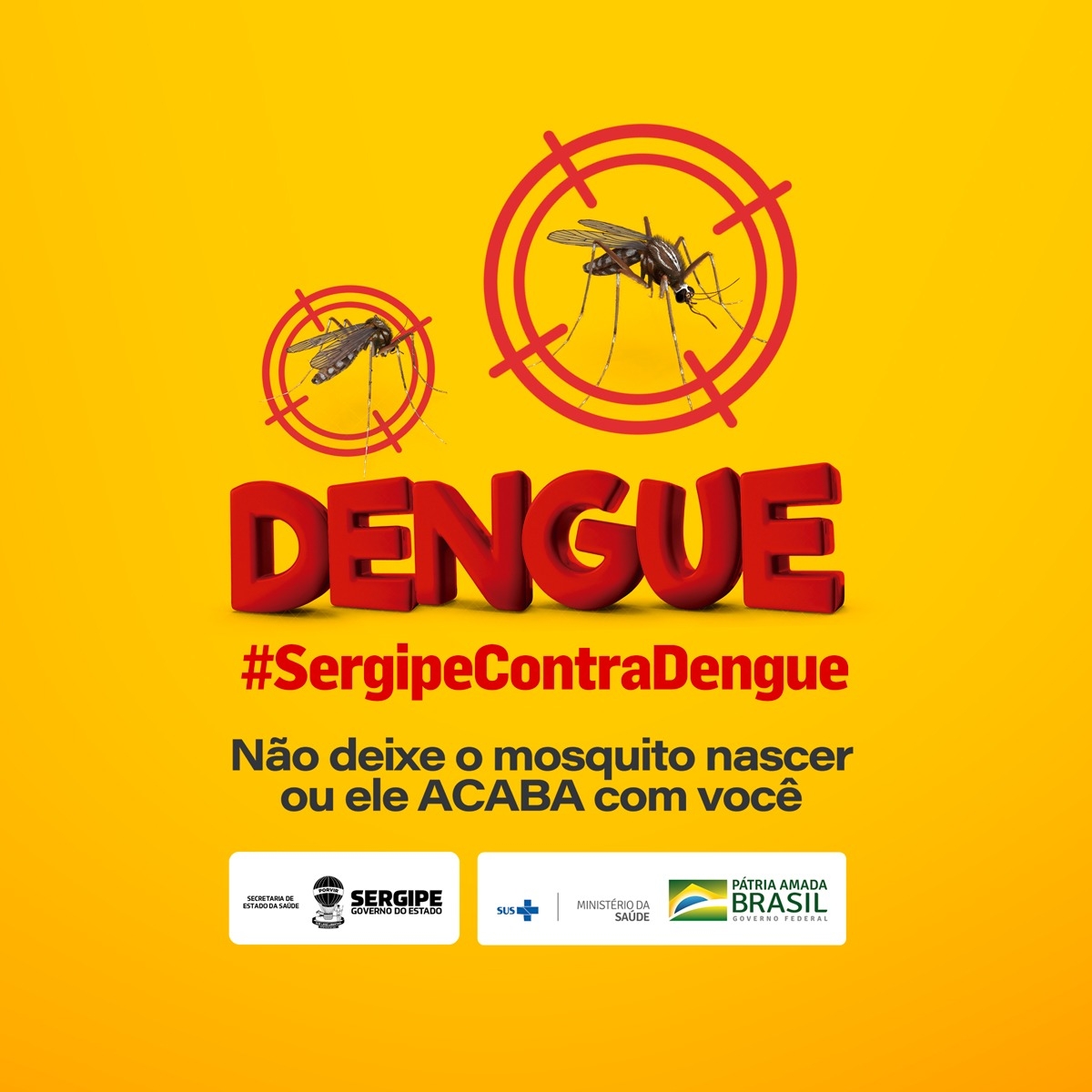 Governo lança Nova Campanha Educativa Contra a Dengue (Imagem: Divulgação)