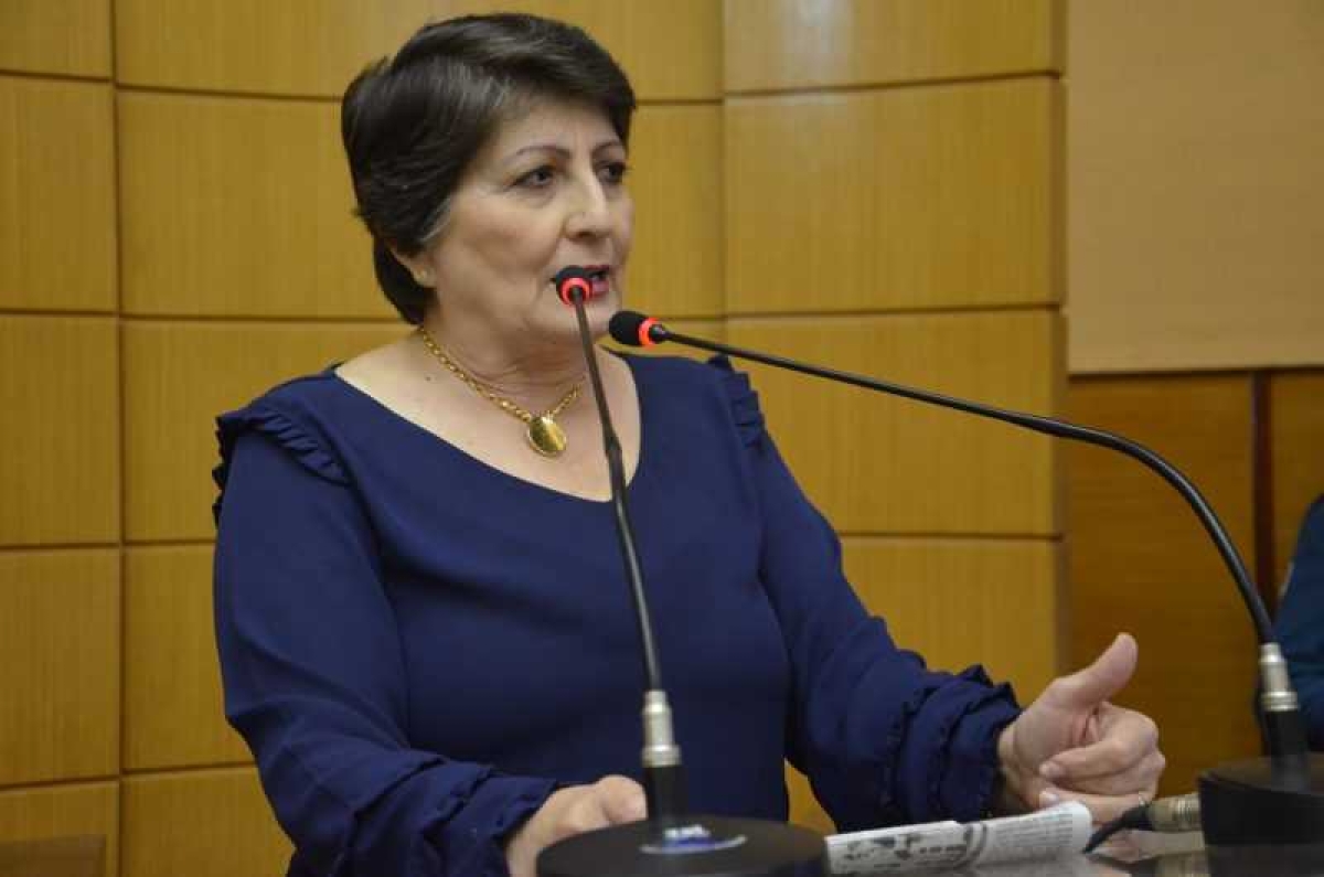 Maria Mendonça sugere que CB e Defesa Civil vistoriem pontes (Foto: Assessoria Maria Mendonça)