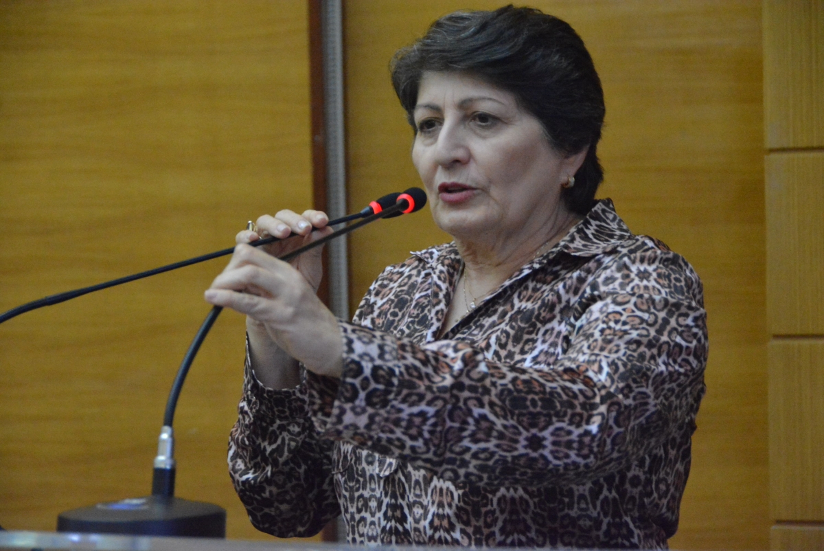 Maria Mendonça ratifica preocupação com estruturas de pontes (Foto: Jadilson Simões)