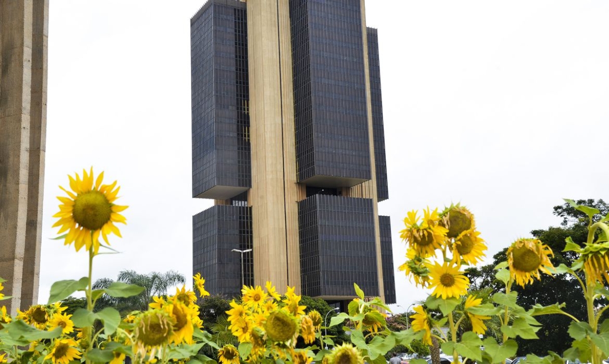 Bancos com mais de 500 mil contas têm de adotar pagamento instantâneo (Foto: Marcello Casal Jr./ Agência Brasil)