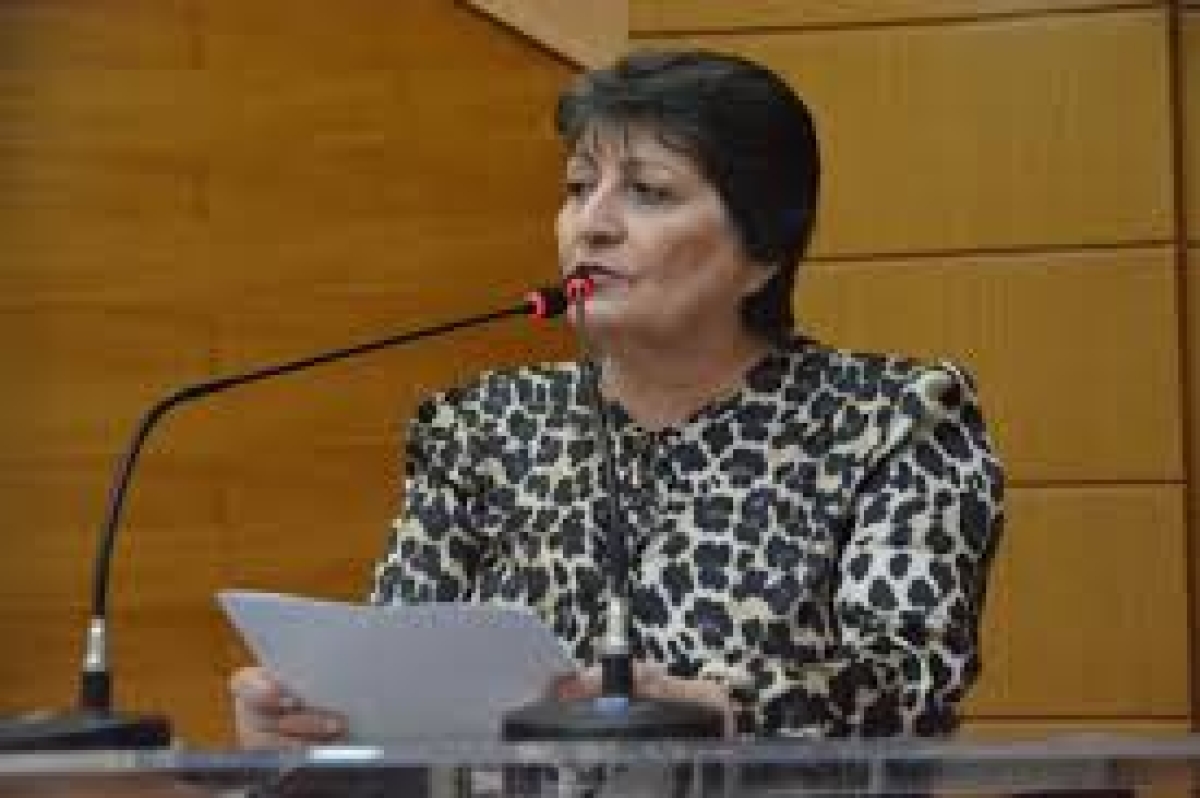 Maria Mendonça defende redução de salário de políticos e membros dos demais Poderes para enfrentamento ao Covid-19 (Foto: Assessoria Maria Mendonça)