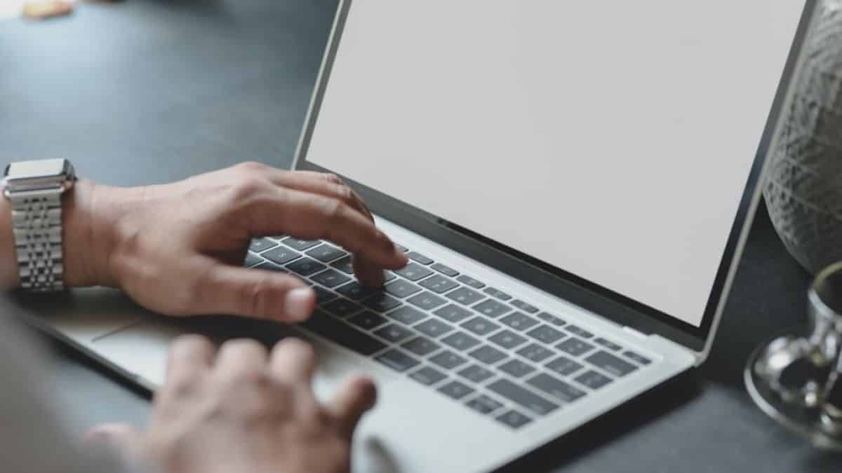Como usar o "modo leitor" no navegador de seu PC (Foto: Pexels)