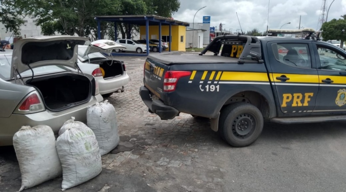 Frei Paulo: PRF apreende 60 quilos de maconha na BR-235 (Foto: PRF/SE)