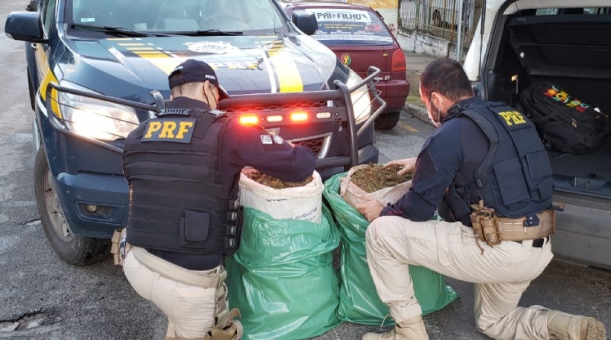 Frei Paulo: PRF apreende 35 quilos de maconha na BR-235 (Foto: PRF/SE)