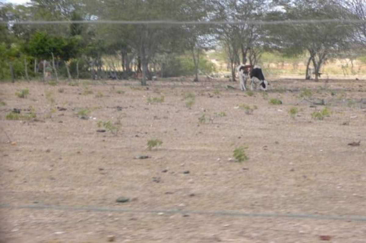 Entre dezembro e janeiro, a área com seca moderada no nordeste de Sergipe teve leve aumento. Todo o território sergipano registra seca (Foto de arquivo: Portal Infonet)
