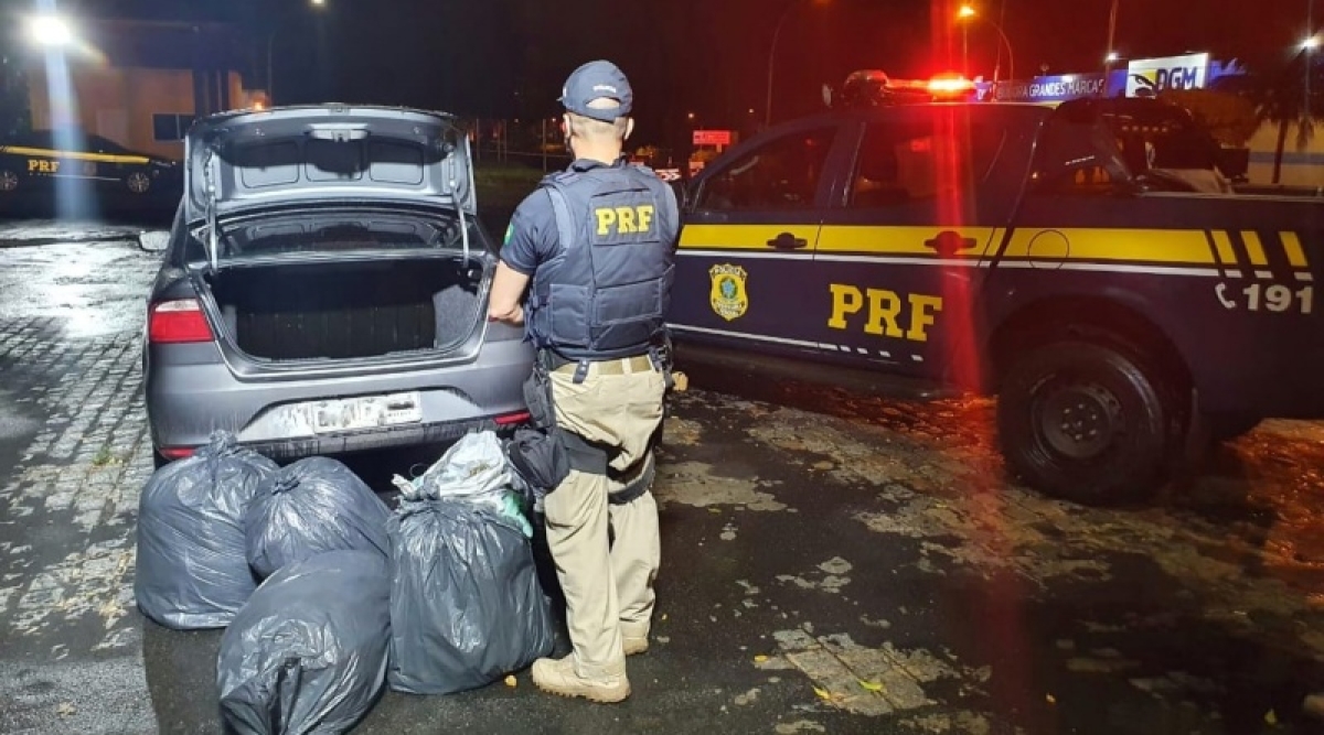 Itabaiana: PRF apreende 45 quilos de maconha na BR-235 (Foto: PRF/SE)