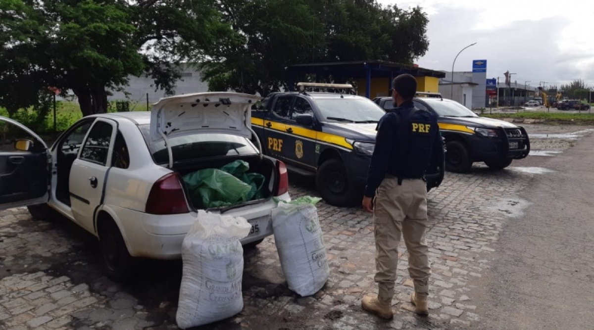 Itabaiana: PRF apreende 40 quilos de maconha na BR-235 (Foto: PRF/SE)