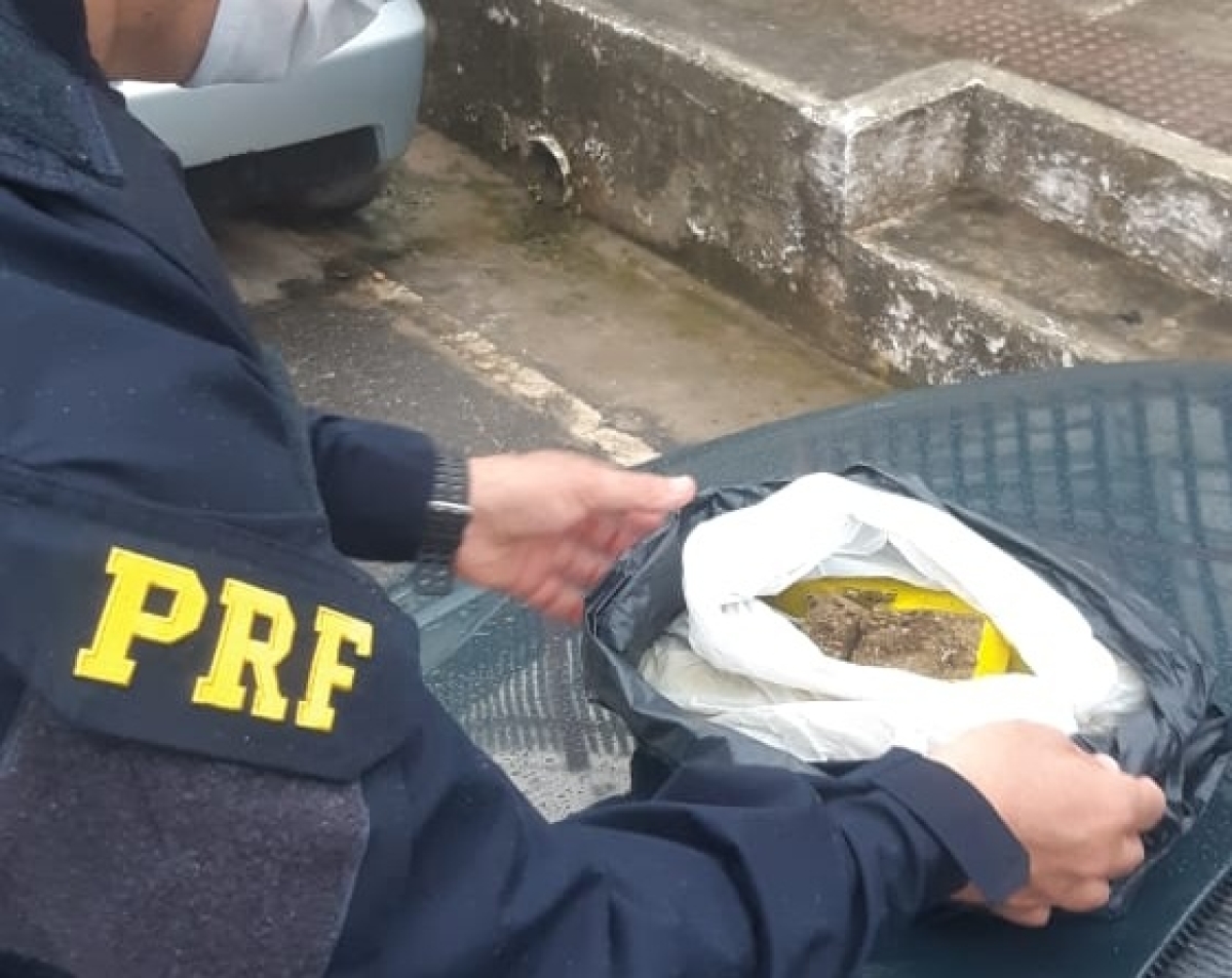 Operação Tamoio II: PRF apreende na BR-101 dois quilos de maconha prensada (Foto: PRF/SE)