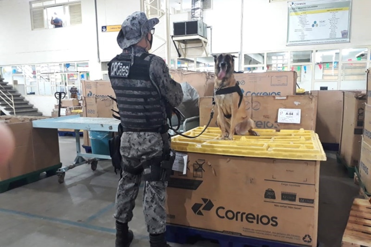 Equipe de faro da Polícia Militar encontra tablete de droga em encomenda postada via Correios (Foto: PM/SE)