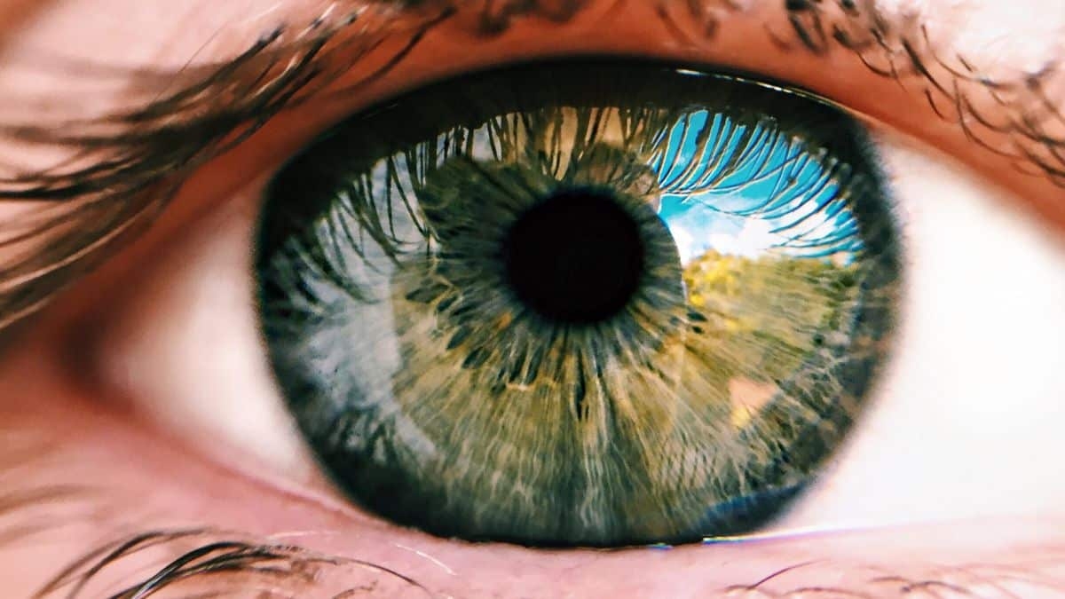 Luz vermelha profunda "recarrega baterias" das retinas e melhora visão (Imagem: Reprodução/ Olhar Digital)