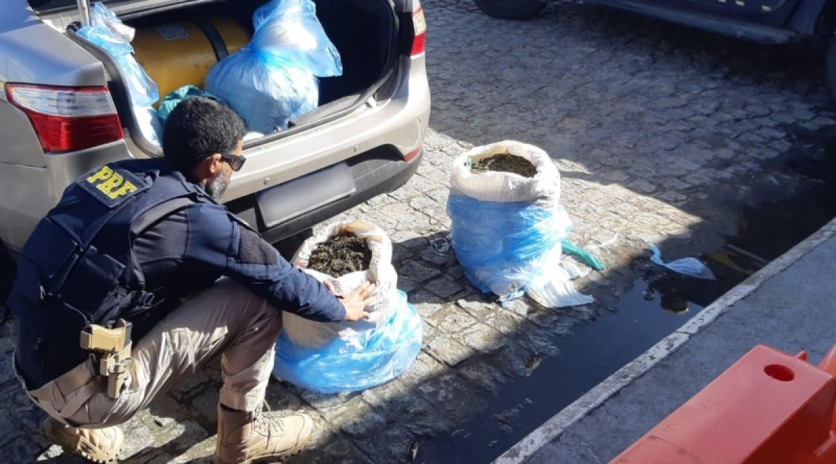 Nossa Senhora do Socorro: PRF apreende quase 50 quilos de maconha na BR-235 (Foto: PRF/SE)