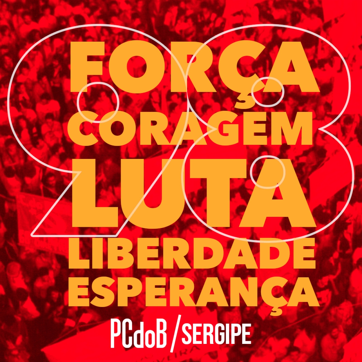 PCdoB: Comissão Nacional de Organização discute construção de frente ampla para derrotar Bolsonaro (Imagem: Divulgação/ PCdoB Sergipe)