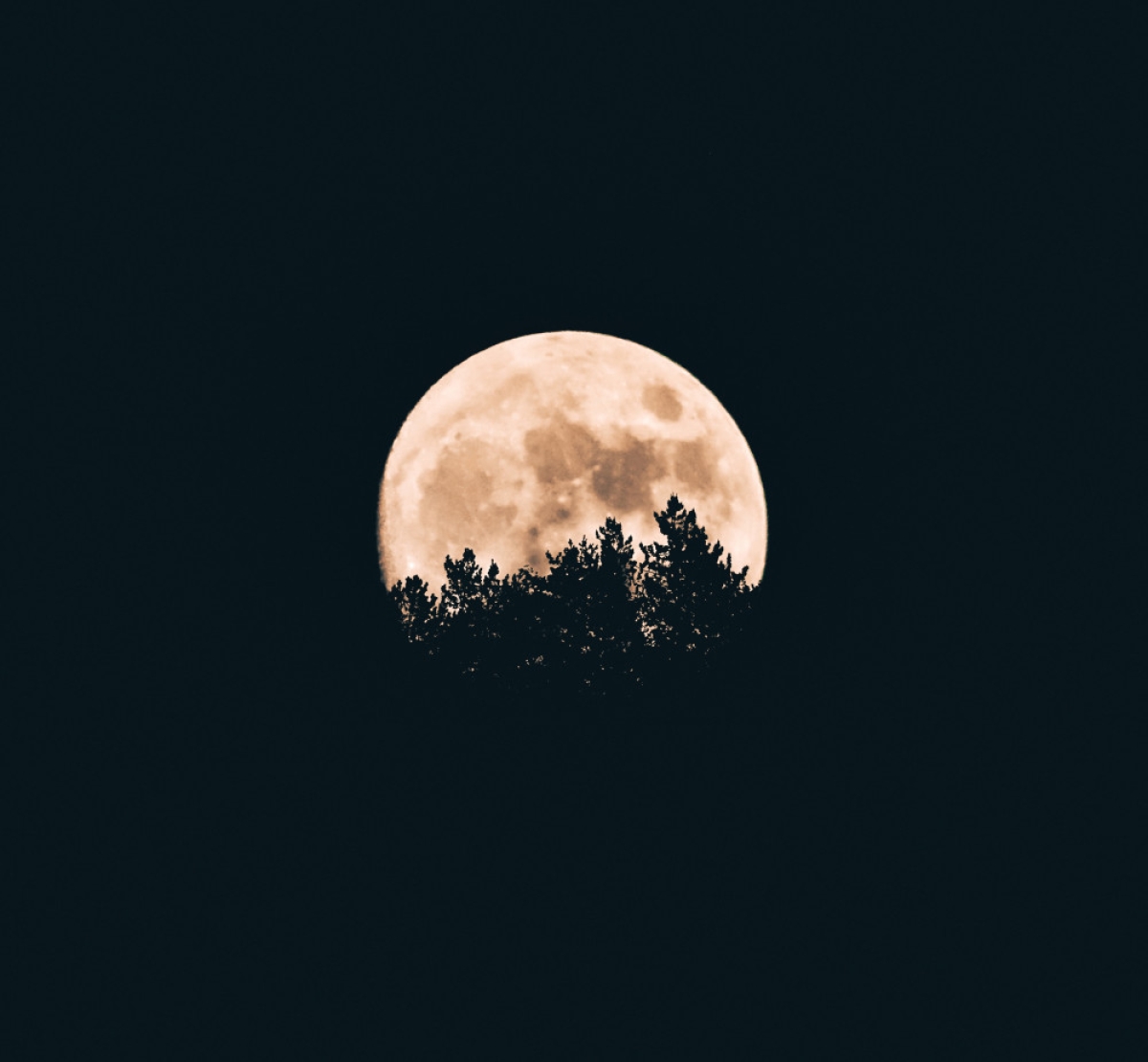 A chamada Lua Azul poderá ser vista  em 31 de outubro. Fenômeno só ocorrerá novamente em 2039 (Imagem ilustrativa: Unsplash)